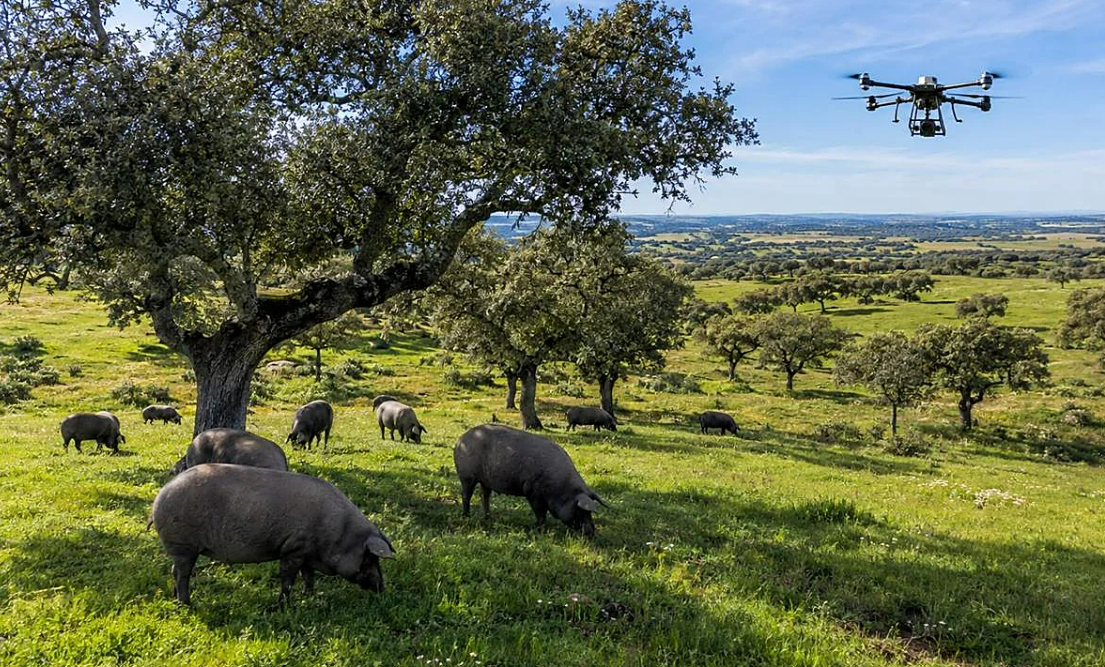 Córdoba reunirá a expertos de Europa e India en el gran congreso internacional de IA aplicada al campo